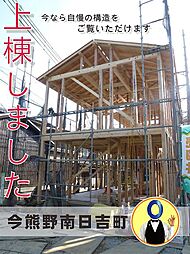 現地の様子