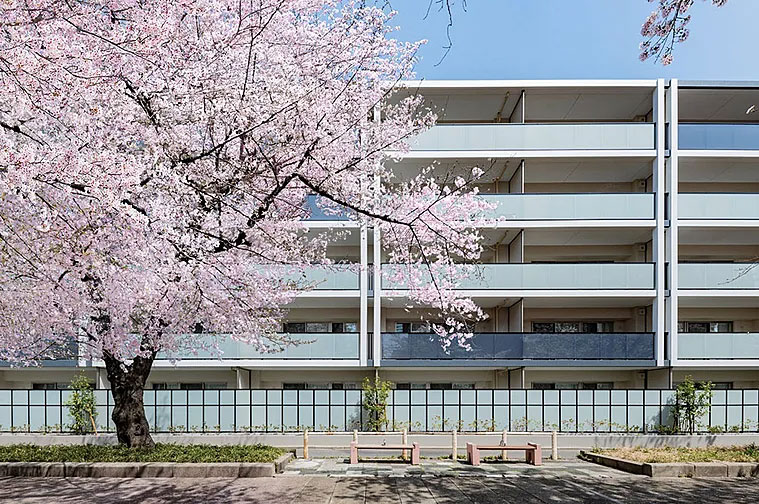 ヴィークコート蕨南町桜並木 コンセプト
