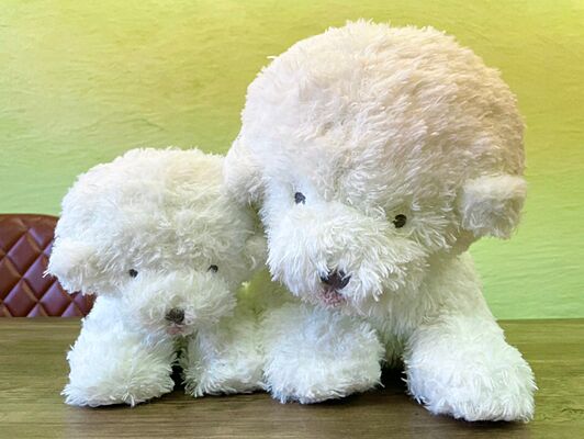 株式会社one1不動産の周辺地図