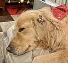 ハウスドゥ　薬園台駅前　合同会社ネクステージ