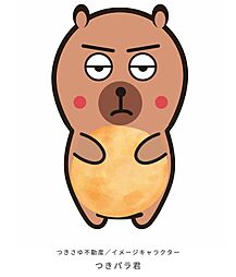 つきさゆ不動産株式会社