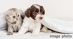 レーベン福住 LEGEND ARKS 設備