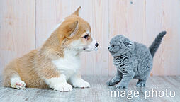 レーベン・グランデ美田園ONE FLAG 設備