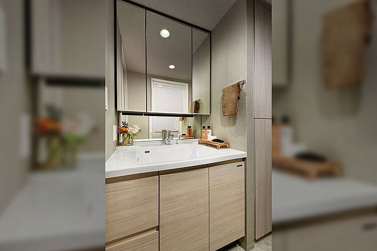 レーベン川越南大塚GENIX 専有部