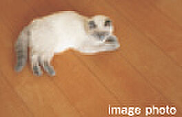 レーベン長町 THE GATE ガス温水床暖房