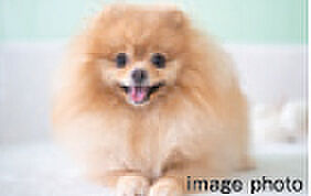 レーベン長町 THE GATE ペット可マンション