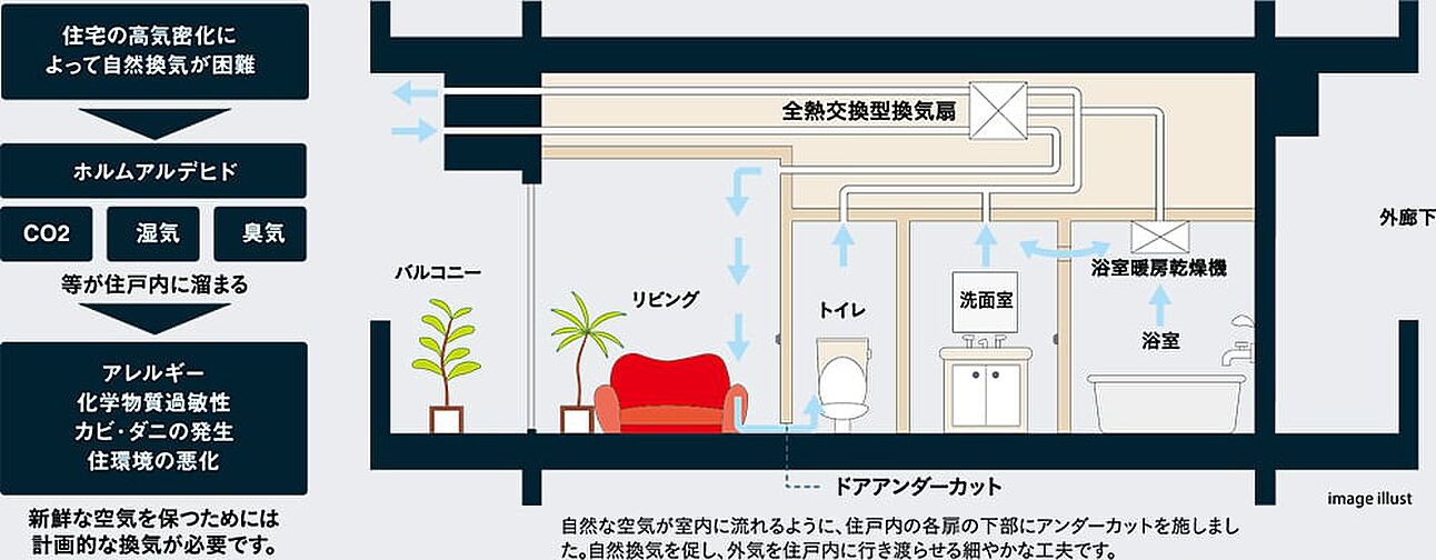 レーベン札幌 DIVERSE 設備