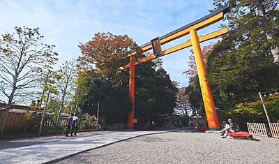 氷川神社 約2,250m(自転車約9分)