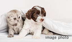 ファインレーベン札幌二十四軒 THE MID(北9西24) 設備