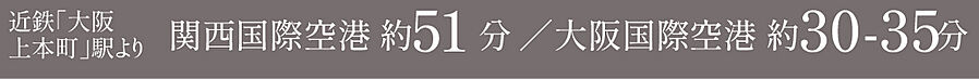 レーベン大阪上本町プレイズ：交通図