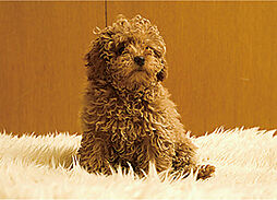 リビオ中野レジデンス 設備