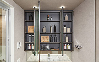 ルネグラン上石神井 三面鏡収納