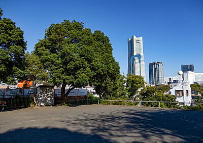 御所山公園 約530m(徒歩7分)