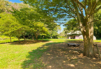 台五丁目公園 約300m（徒歩4分）