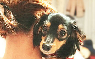 クレストレジデンス横浜汐見台パークフロント ペットと暮らせるマンション