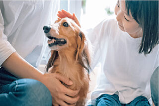 クレストプライムタワー東小金井 ペットと暮らせるマンション