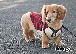 サンクレイドル鶴見緑地公園 設備