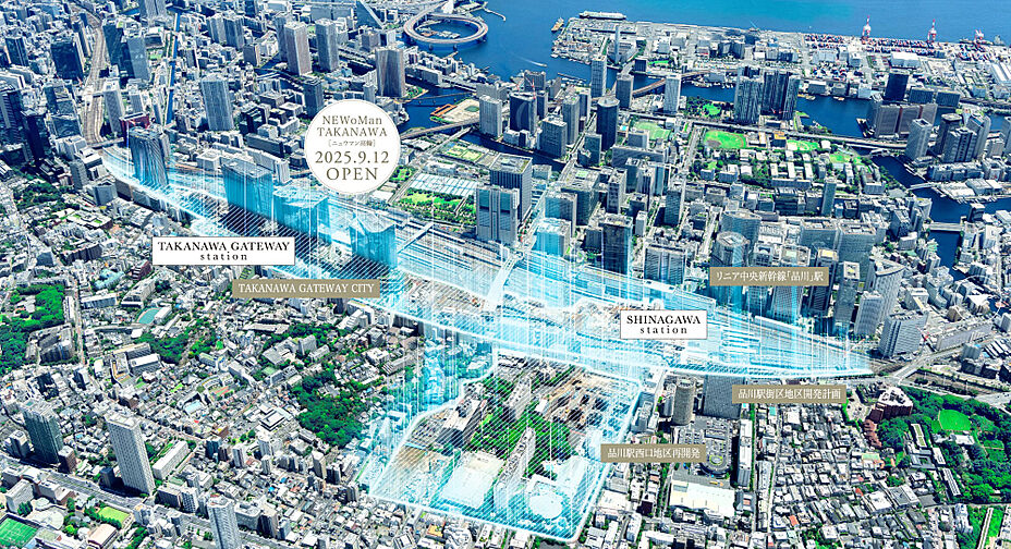 ディアナコート大井町翠景 その他