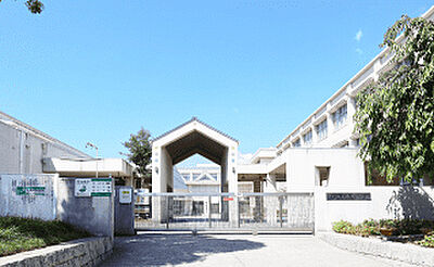 市立魚崎小学校 約230m（徒歩3分）
