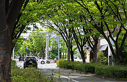 ワコーレ芦屋宮塚町 薫風の邸 その他