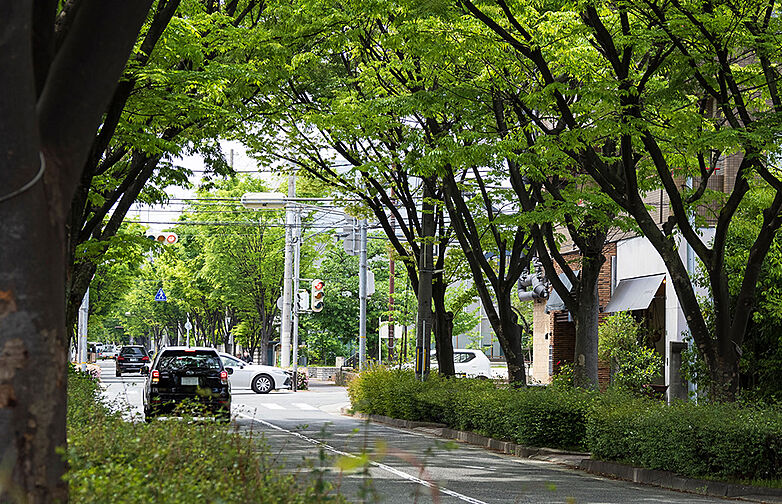 ワコーレ芦屋宮塚町 薫風の邸 その他
