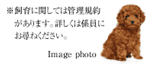 ワコーレ姫路北条口 フロント ペット飼育可