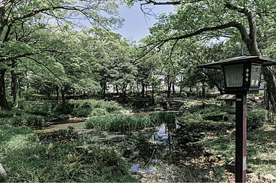 下茶屋公園 約490m(徒歩7分)