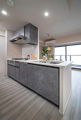 ユニハイム加古川つつじ野GATE 専有部