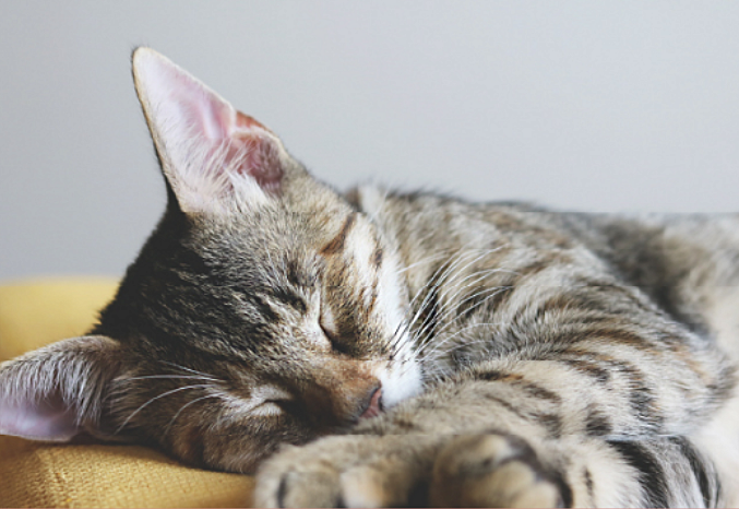 アウラ立川曙町 設備