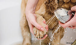 ローレルコート橿原神宮ザ・レジデンス 設備