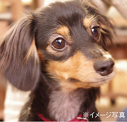 アルファスマート宇多津 設備