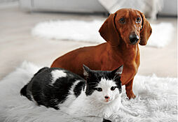 エクセレントシティ多摩永山 設備