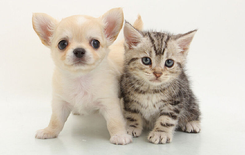 エクセレントシティ清瀬ザ・グレイス 設備