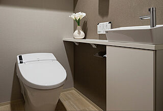 エクセレントシティ幕張本郷パークサイド タンクレストイレ手洗いカウンター付