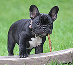 モアグレース守山ステーションフロント 設備