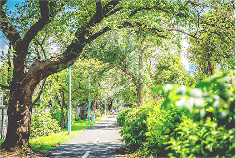 ルピアコート花小金井 その他