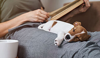 グランフォーレ西新ナチュリア ペット共生可