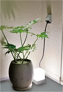 バルコニーコンセント
