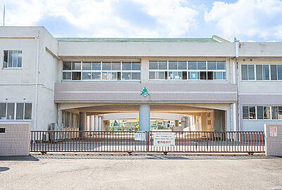 緑小学校 約210m(徒歩3分)