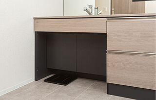 メイツ府中中河原 シンク下スペース