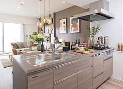 プレシス朝霞台ソルティエ 専有部