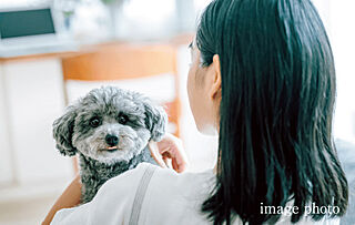 プレシス小田急相模原ステーションサイト ペット共生マンション