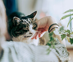 プレシス鶴間レジデンス 設備