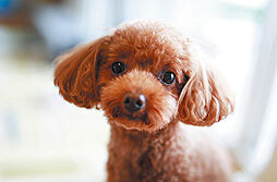 プレシス立川パークフロント 設備