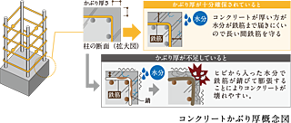 ヴィークコート蕨南町桜並木 鉄筋コンクリート劣化対策（かぶり厚さ）