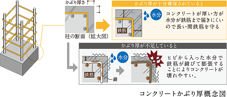 ヴィークコート蕨南町桜並木 設備