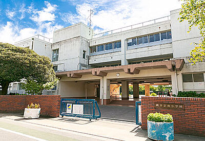 蕨市立南小学校 約290m(徒歩4分)