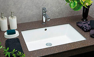 ヴィークハウス深沢 洗面カウンター（天板：フィオレストーン）