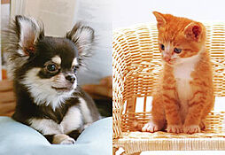 オーヴィジョン岩国麻里布 設備