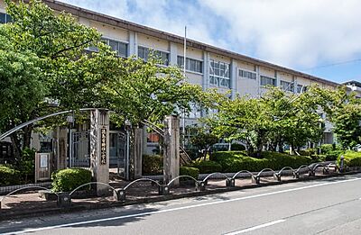 徳島市立助任小学校 約570m(徒歩8分)